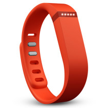 Fitbit Flex Wristband Orange