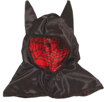 Den goda fen, Huva, Spiderman/Batman
