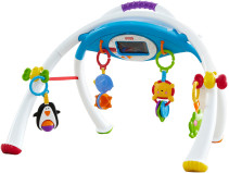 Fisher Price, Newborn, App Gym