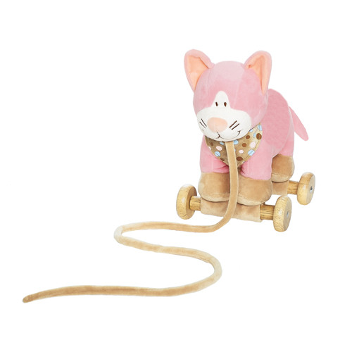 Teddykompaniet, Diinglisar, Gunga med Ljud, Katt