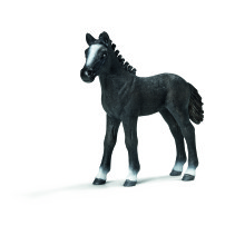 Schleich, Lipizzanerföl