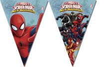 Spiderman Web Warriors, Vimplar