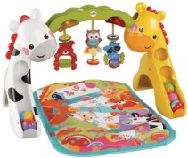 Fisher-Price, Newborn To Toddler Gym