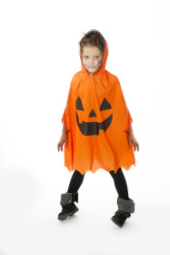 Maskerad, Pumpadräkt