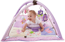 Skip Hop, Babygym, Owl Patch