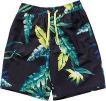 Quiksilver, Badshorts, Frames Jungle Juice Youth